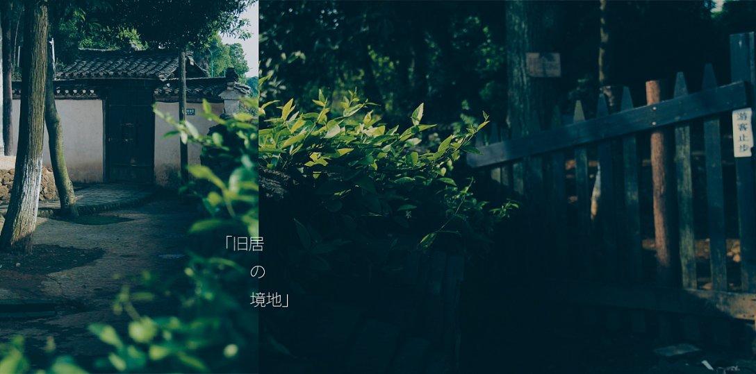 服务大局 畅通八方