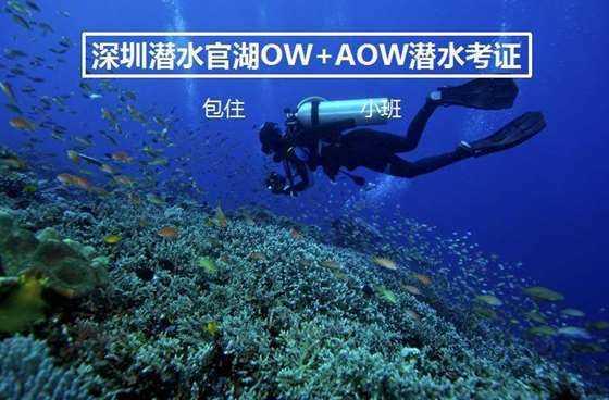 逗小猴开心系列208
